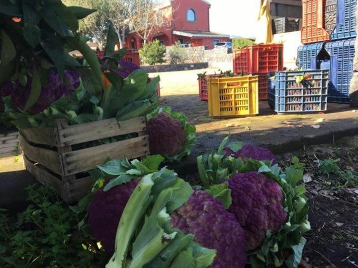 Agricampeggio Verde Etna Aci SantʼAntonio Exterior foto