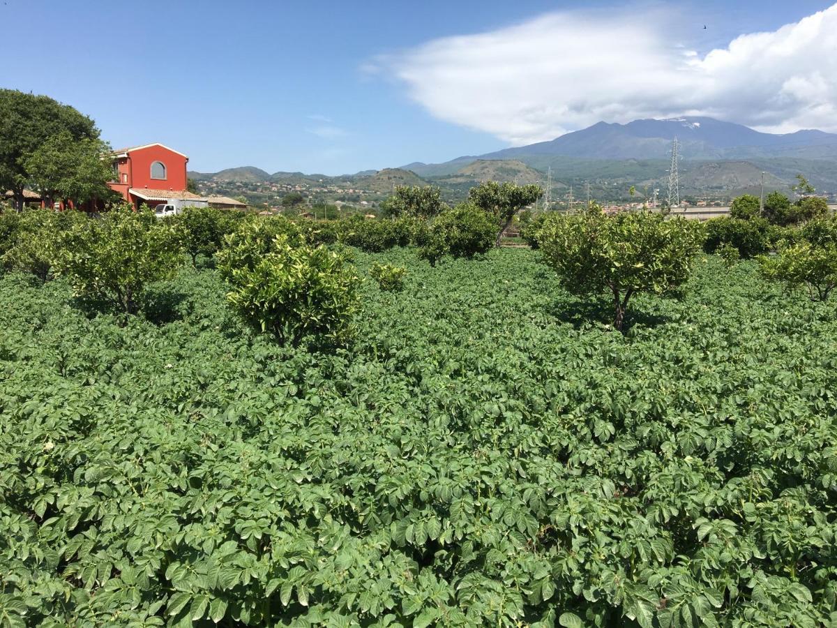 Agricampeggio Verde Etna Aci SantʼAntonio Exterior foto